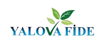 Yalova Fide